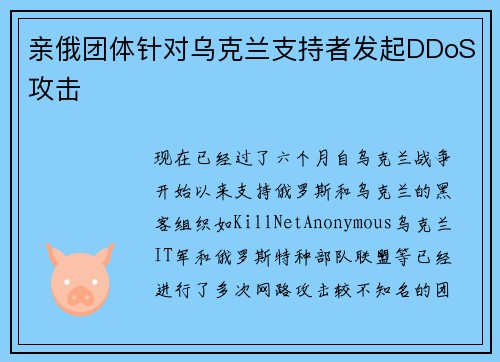 亲俄团体针对乌克兰支持者发起DDoS攻击 