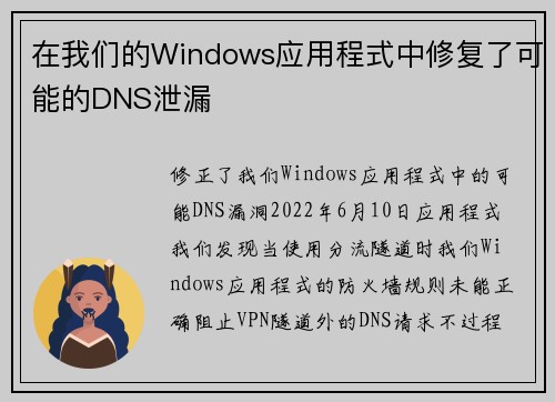 在我们的Windows应用程式中修复了可能的DNS泄漏 
