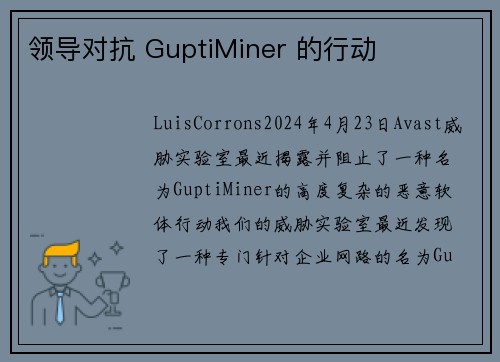 领导对抗 GuptiMiner 的行动